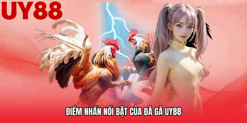 Điểm nhấn nổi bật của Đá gà UY88