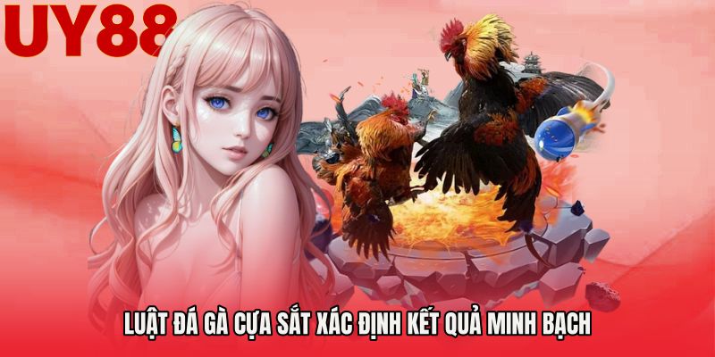Luật đá gà cựa sắt xác định kết quả minh bạch
