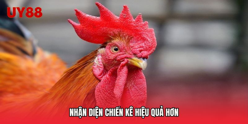 Nhận diện chiến kê hiệu quả hơn